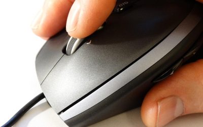 Maximizing Your Online Presence: The Basics of Web Hosting